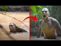 30 Mermaids That Got Caught On Camera No Special Effects Added