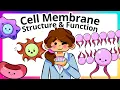 Cell Membrane Structure and Function