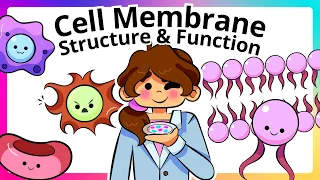 Cell Membrane Structure and Function