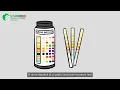 How to use and read a urine dipstick