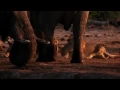 Innuendo Queen  Freddie Mercury HD