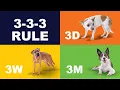 The 3-3-3 Rule for Rescue Dogs A Step-by-Step Guide to Help Your Dog Adjust