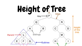 Tree Height of a Binary Tree HackerRank