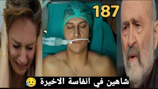 The Faraway City Series 2 Episode 187 One Hundred And Eighty Seven 