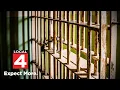 Union representing Michigan corrections officers issue call to action to Gov Whitmer