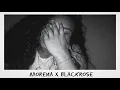 MORENA X BLACKROSE 🌹❤