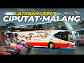 Lagu PERJALANAN LEBIH CEPAT | Ciputat - Malang Ekspress bersama Bus Harapan Jaya MS12