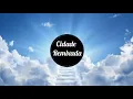 Cash Cash & Digital Farm Animals - Millionaire (Alan Walker remix) [HD]