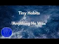 TINY HABITS - Anything He Was