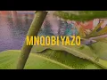 Mnqobi Yazo Lockdown verse
