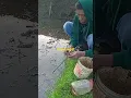 Lagu sapu jagat Doel sumbang