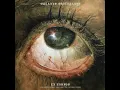 V. Age of Anima feat. Ilhan Ersahin