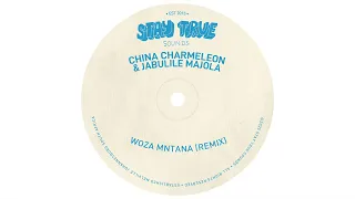 china charmeleon x jabulile majola woza mntana remix 