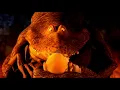 Download Lagu Pat and Stan The Treasure of Pit and Mortimer (2006) Bing Bong’s Defeat