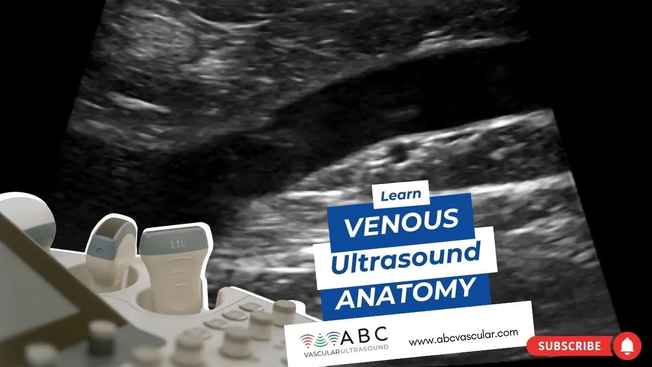 Learn Venous Ultrasound anatomy: Technical and simple way of Deep veins ultrasound