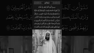 القارئ الشيخ احمد بن طالب   تلاوة خاشعة من سورة الزمر  ٧٣  دندنها