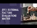 EFE Matrix