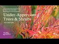 Under-Appreciated Trees Shrubs for Colorado by Tagawa Gardens Mike Landers Certified Arborist