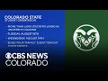 Bear spotted on the CSU campus during move-in day