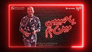 طول ما انا شايفك عمرودياب دندنها