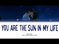 Lagu You Are the Sun In My Life (你似骄阳) By 卢苑仪| Shine on Me (骄阳似我)OST (Color Code English Lyrics)