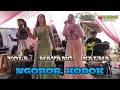 Download Lagu YOLA.  MAYANG  SALMA // NGOBOR KODOK // KOPLO BAJIDOR LIVE KP CIBADAK CISARUA