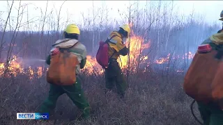 Омичей ждёт потепление и сильный ветер