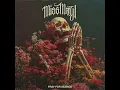 Miss May I - Pray For Silence (Instrumentals)