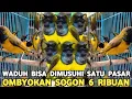 Download Lagu PALING NGERI KALO NEMU OMBYOKAN HASIL TUKER TAMBAH JUAL SELAKUNYA SOGON 6 RIBU PERAK DI PB PRAMUKA