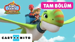 Jon ve Dev Timsah | Tam Bölüm | YENİ Dino Ranch: Ada Kaşifleri | @CartoonitoTurkiye