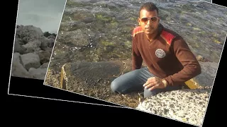 دراي يا قلبي داري دندنها