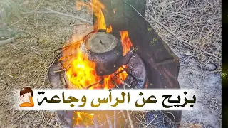 براد الشاي بنعناعه بزيح عن الرأس وجاعه       دندنها