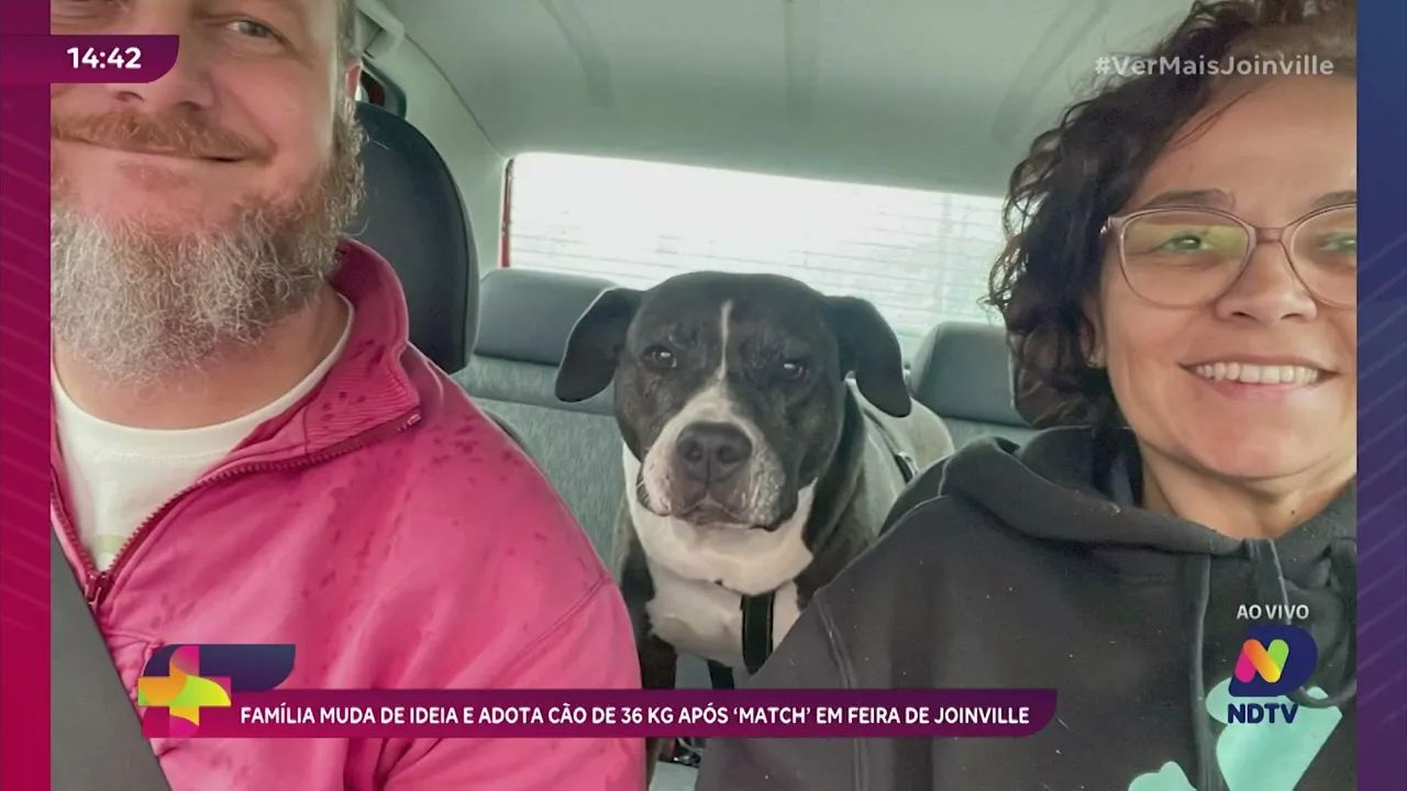 Família muda de ideia e adota cão de 36 kg após ‘match’ em feira de Joinville