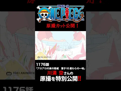 アニメ「#ONEPIECE」見放題配信への追加は木曜日‼️1176話‼️ #onepiece #原撮