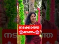 Download Lagu ഇനി ഞാൻ വടം വലിക്കില്ല!  #reshmianil #prasanthkanjiramattom #onam #viral #new #trending  #newmovie