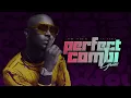 King Promise × Gabzy - Perfect Combi (Lyrics)