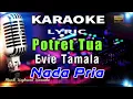 Download Lagu Potret Tua - Evie Tamala Nada Pria Karaoke Tanpa Vokal