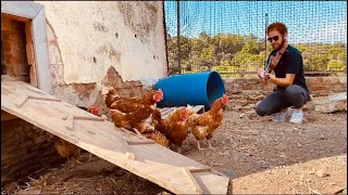               الحلوة دي                  بمرافقة ديك  دندنها