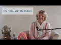 Lagu De hond van de buren