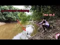 Download Lagu Mancing di sungai kalimantan...!! Joran sampai melayang gara gara ikan ini