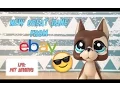 LPS Great Dane From eBay Pet Review