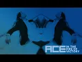 Download Lagu Ace - IN THE FIRE OF VICTORY