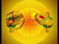 RYDE IMAGING MICROENCODING PACMAN