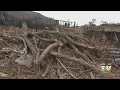 Deadline Fast Approaching For Dallas October Tornado Victims To Get Debris To Curb