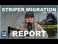 Striper Migration Report April 22nd 2025