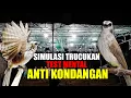 Download Lagu TEST MENTAL TRUCUKAN DENGAN SIMULASI LOMBA INI