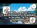 Download Lagu DJ TABOLA BALE X CALON MANTU IDAMAN SLOW VIRAL TIKTOK ZAL FVNDY 2025