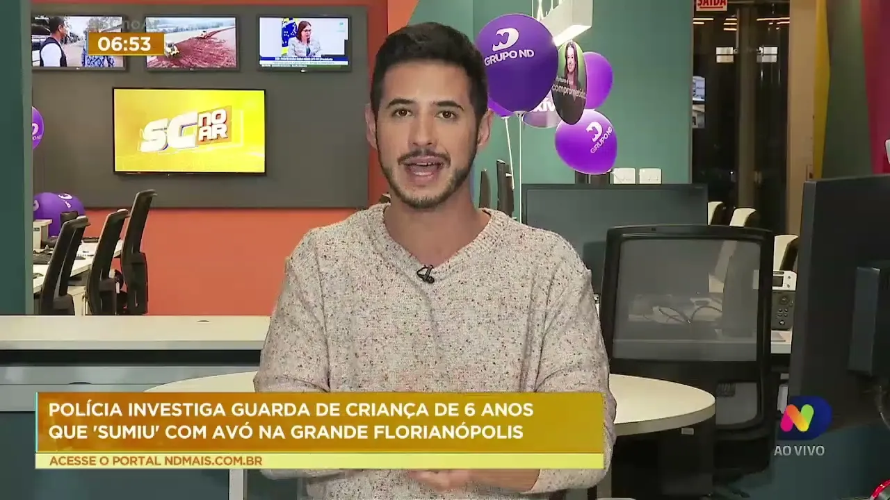 Polícia investiga guarda de criança de 6 anos que ‘sumiu’ com avó