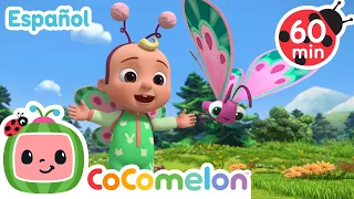 Mariposita 🦋🦋 Caricaturas infantiles | Moonbug en Español - Cocomelon