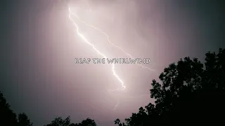 Nazty Habit - Reap The Whirlwind (Official Audio + Lyric Video)